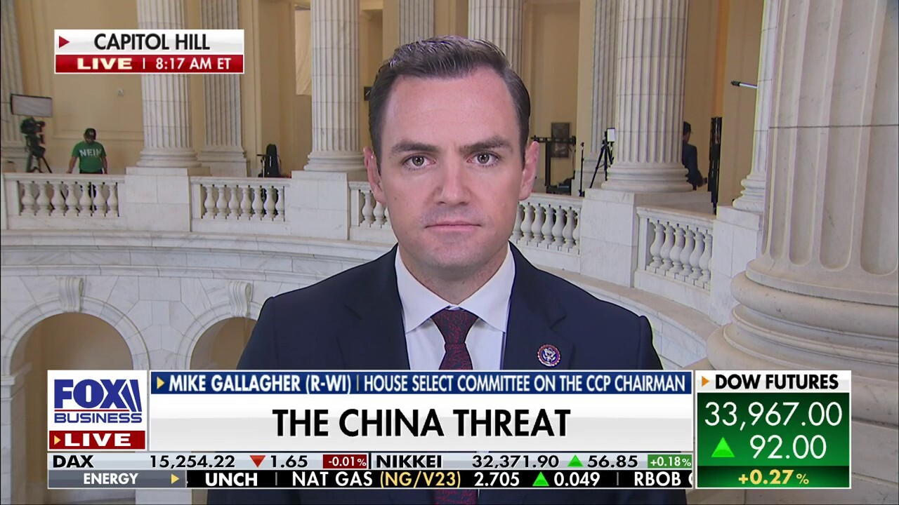 US has 'no choice but to protect our domestic institutions before it's too late': Rep. Mike Gallagher