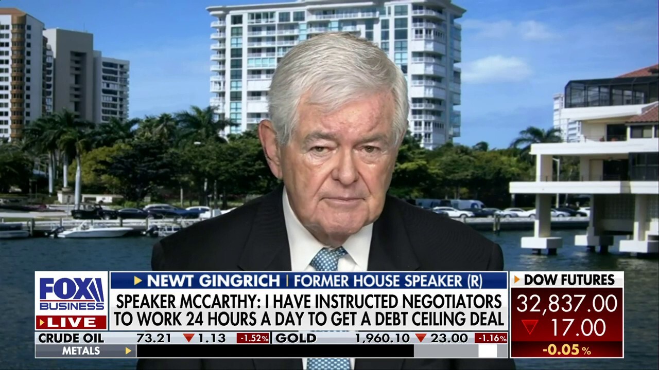 White House is 'delusional' and 'completely misunderstand' the country: Newt Gingrich