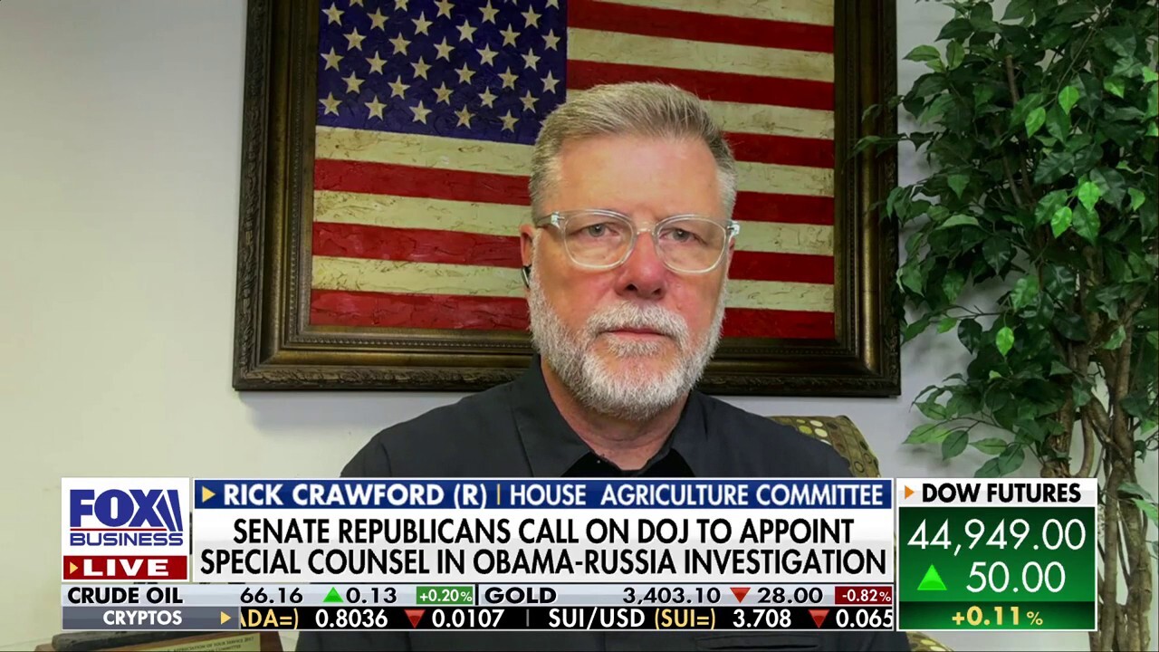 GOP rep. slams Russiagate as ‘biggest political fraud' in US history