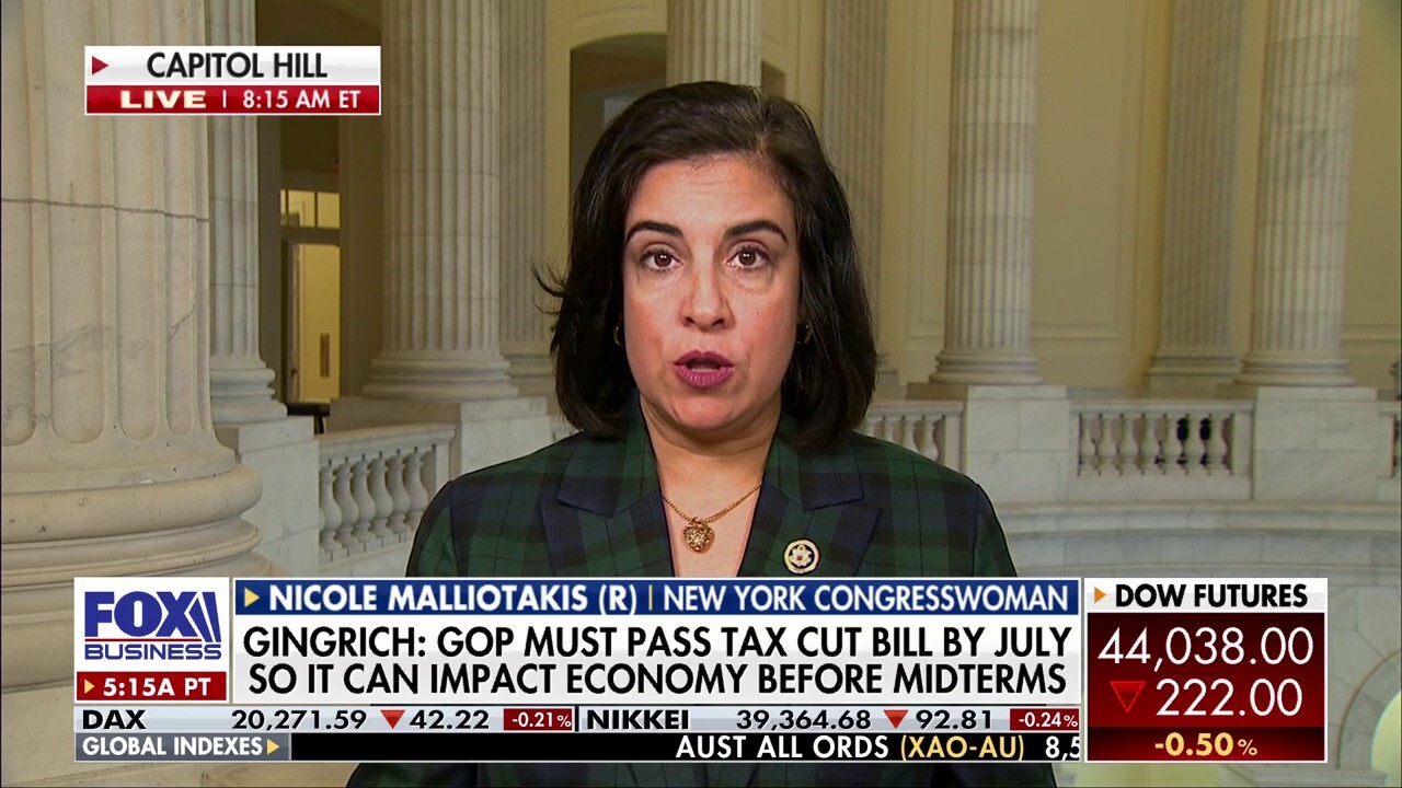 This 'will be hurtful' to American families, Rep. Malliotakis warns