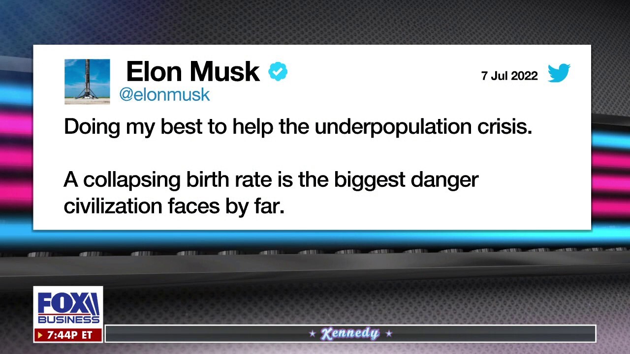 'Doing my part': Elon Musk birth rate concerns resurface amid twins report