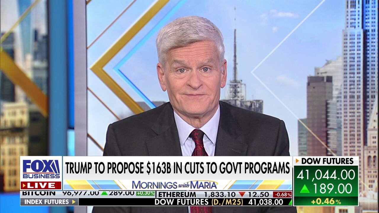 Sen. Bill Cassidy, R-La., joins ‘Mornings with Maria’ to break down the Trump administration’s $136 billion in budget cuts to government programs.