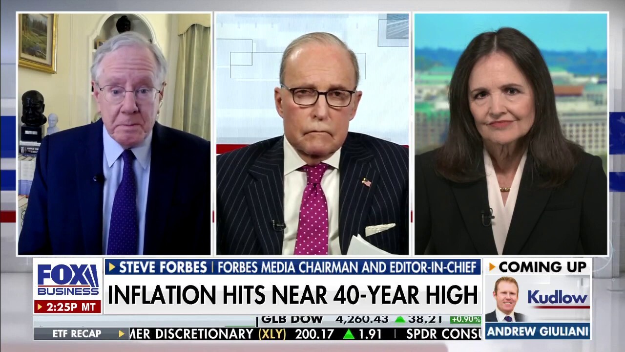 Judy Shelton calls out Jerome Powell for blowing 'with the political winds'