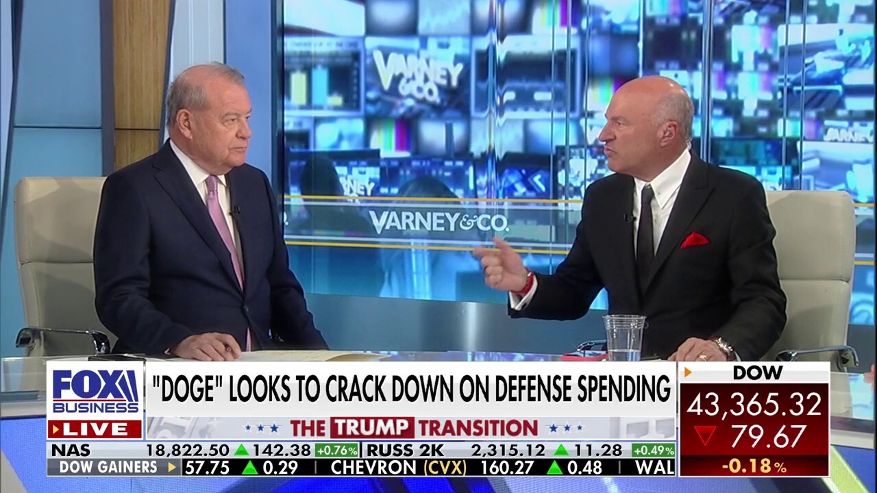 O'Leary shows his support for DOGE: 'There's lots of room for efficiency'