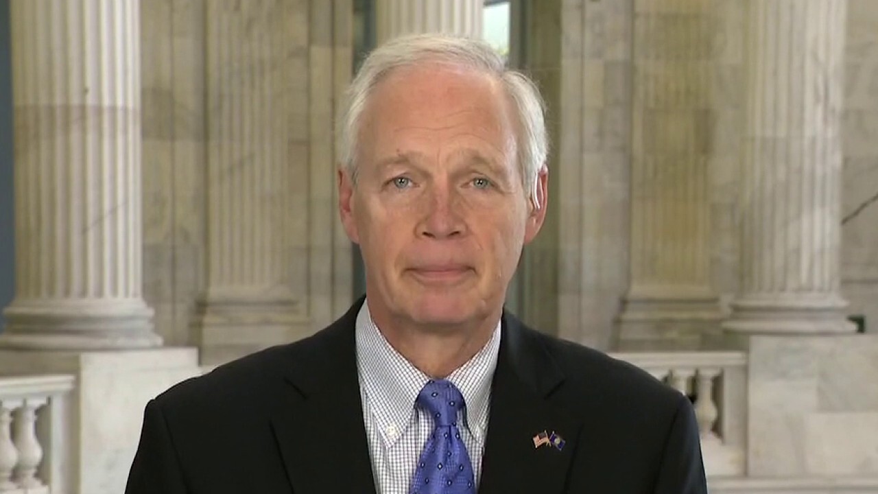 Democrats' 'out of control' spending fuels inflation: Sen. Johnson