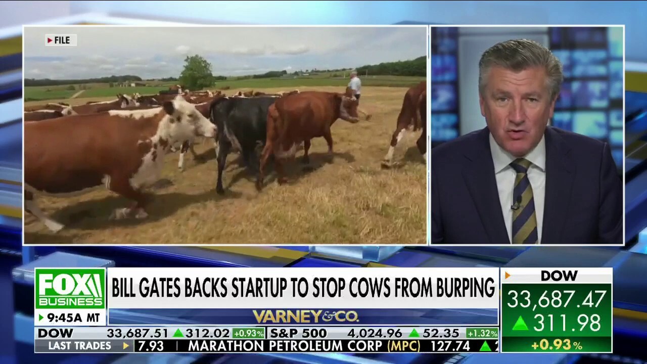 FOX Business' Ashley Webster reports that billionaire Bill Gates is backing an Australian startup that's trying to stop cows from burping methane emissions.