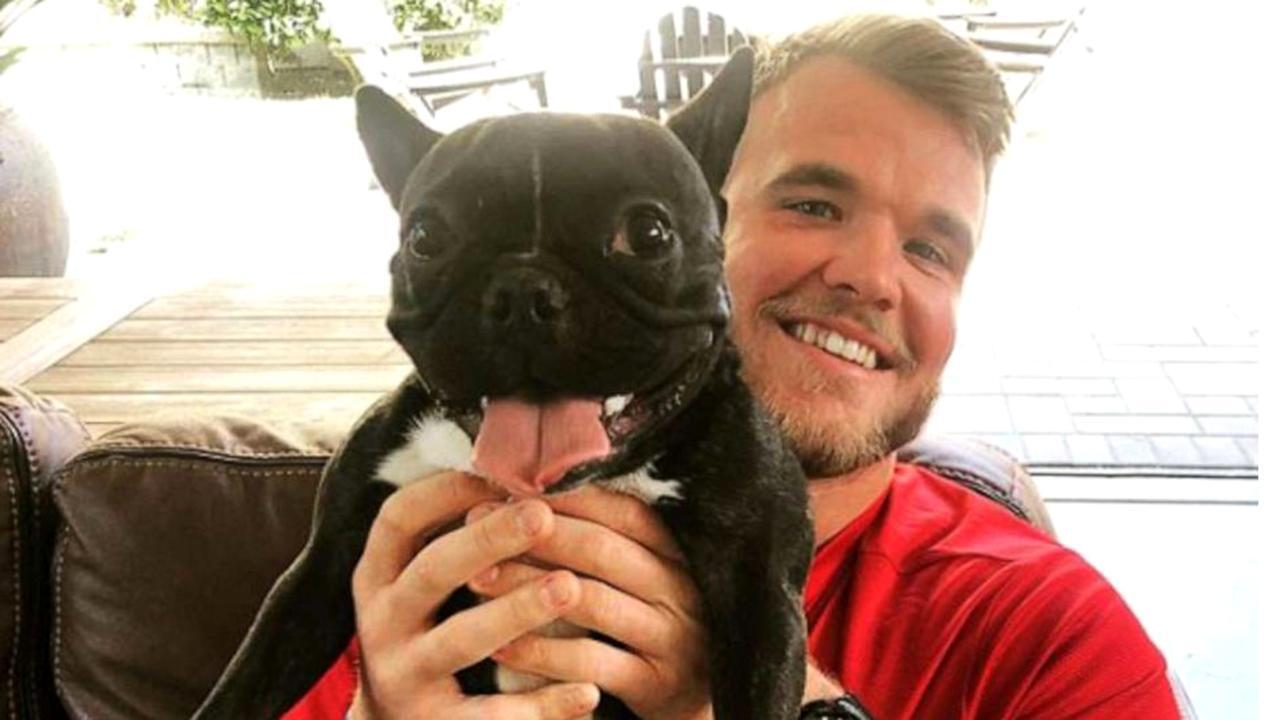The 49ers Frenchie assists with emotional support