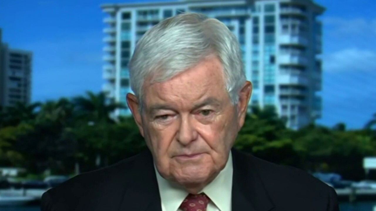 Newt Gingrich: You're looking at an elite that's dishonest