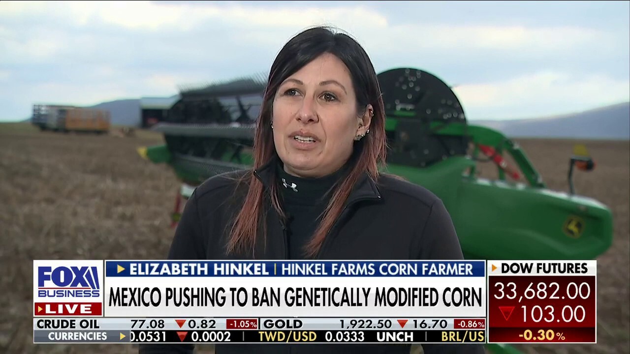 FOX Business' Madison Alworth speaks to Hinkel Farms' Elizabeth Hinkel, who warns their corn crop faces a shortage risk over a proposed regulation.