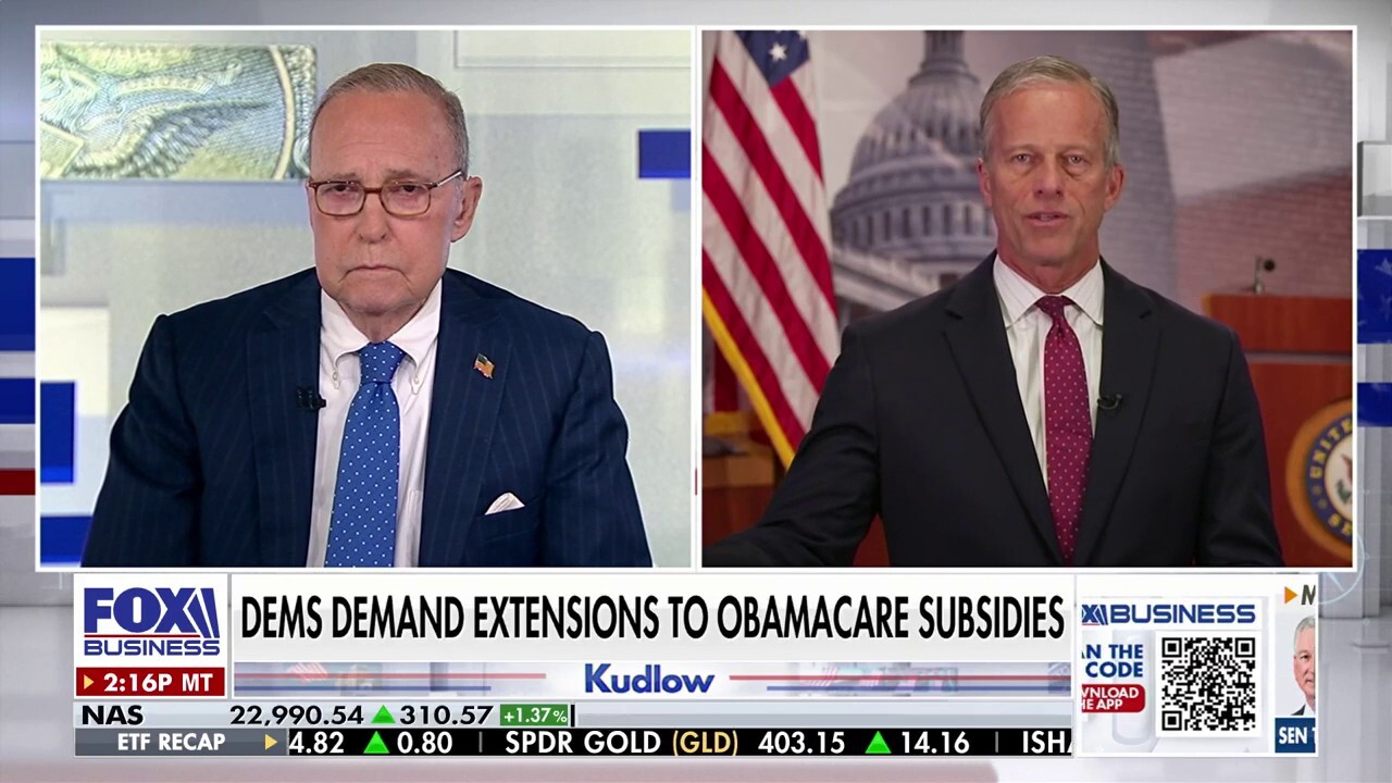 Senate Majority Leader John Thune ridicules Dems over 'failing' program, says government is being 'held hostage'