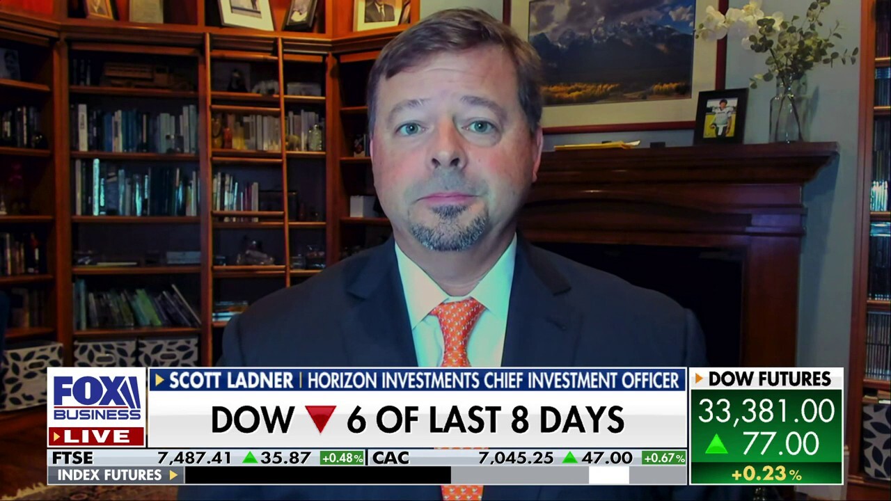 Markets are in the midst of 'a productivity boom': Scott Ladner