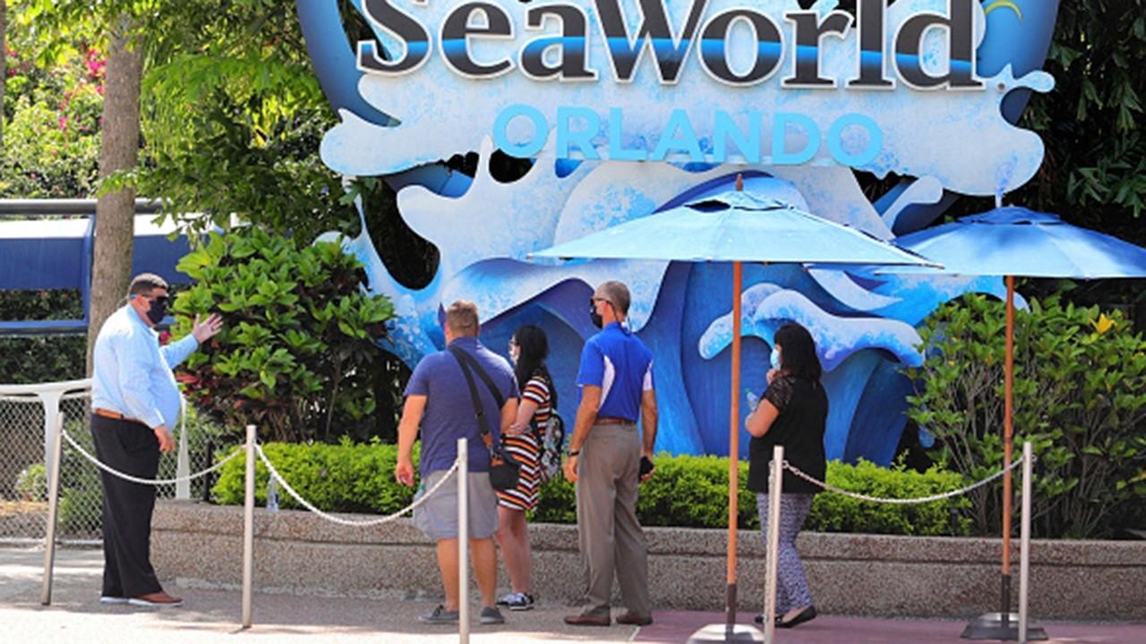 SeaWorld Interim CEO on ‘evolving’ parks’ business plan during the coronavirus 