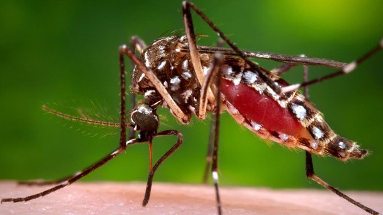 CDC issues travel warning over Zika Virus