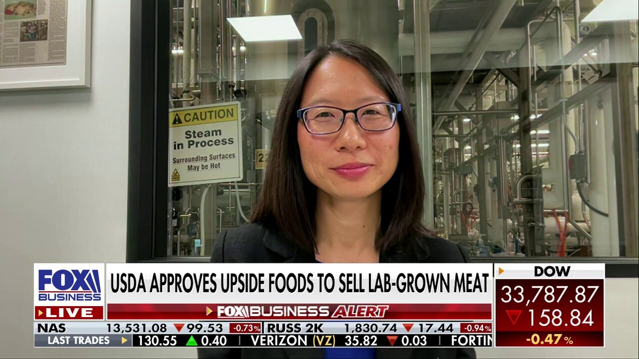 COO of UPSIDE Foods Amy Chen joined ‘Cavuto: Coast to Coast’ to discuss the company’s latest push to sell lab-grown meat. 
