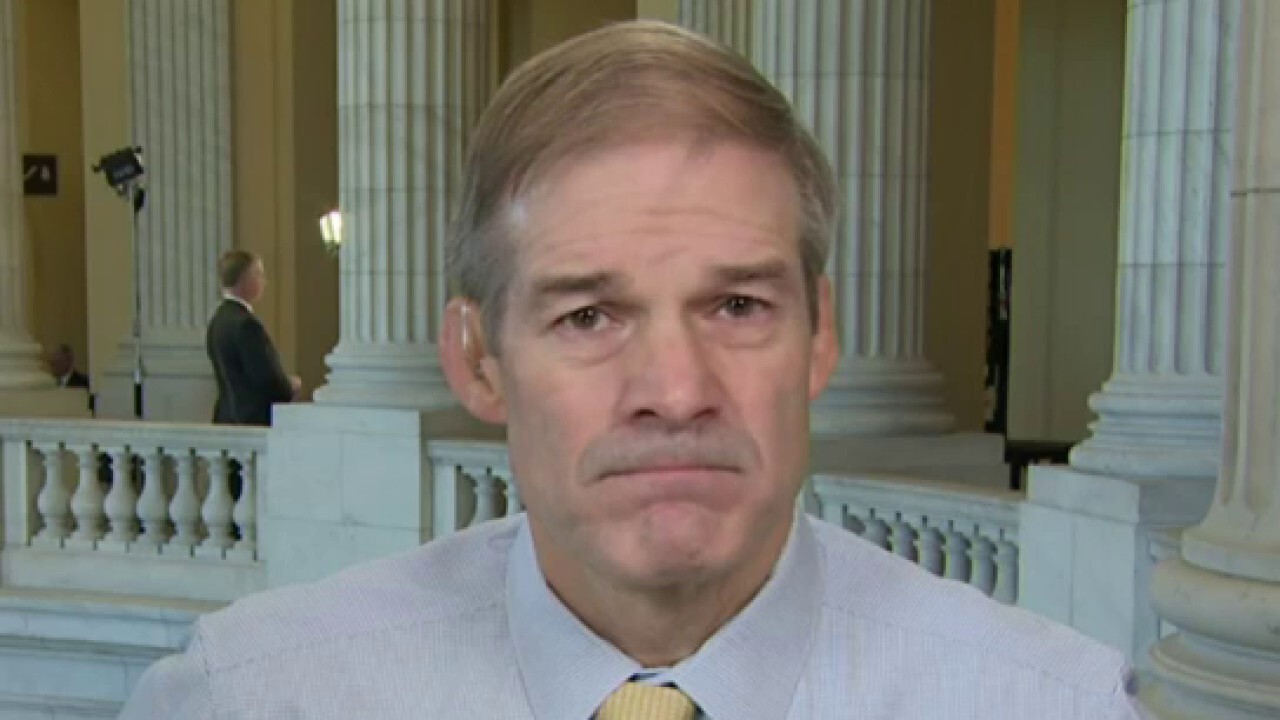 Jim Jordan: There are some Democrats who understand the FISA system has been 'abused'