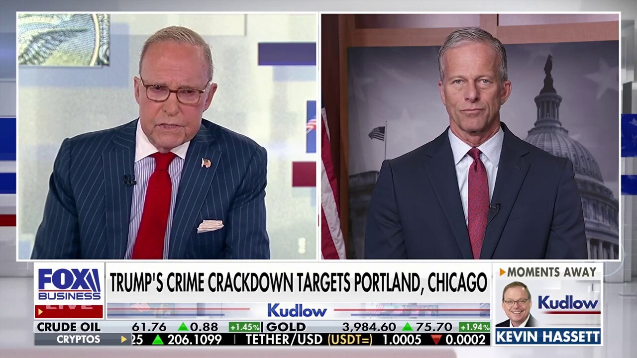 Democratic Party 'insistent' on opposing Trump 'no matter what the issue is,' says Sen. John Thune