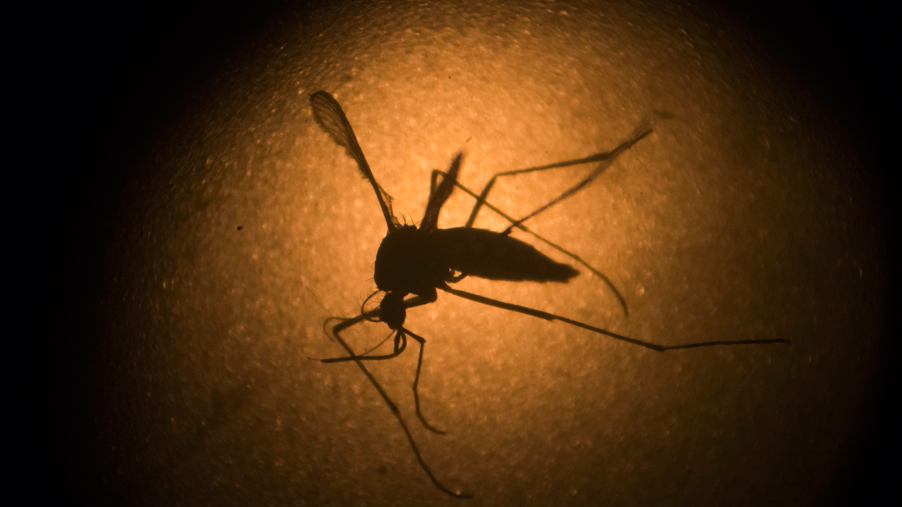 Is the Zika threat growing in U.S.?