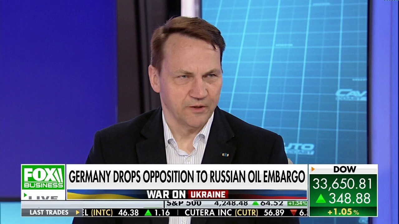 EU parliament member: Putin is 'using gas as a weapon'