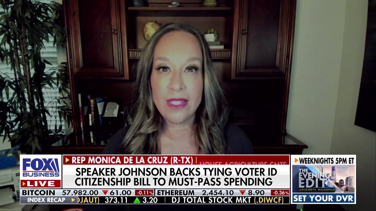 It should be logical to request voter ID: Rep. Monica De La Cruz