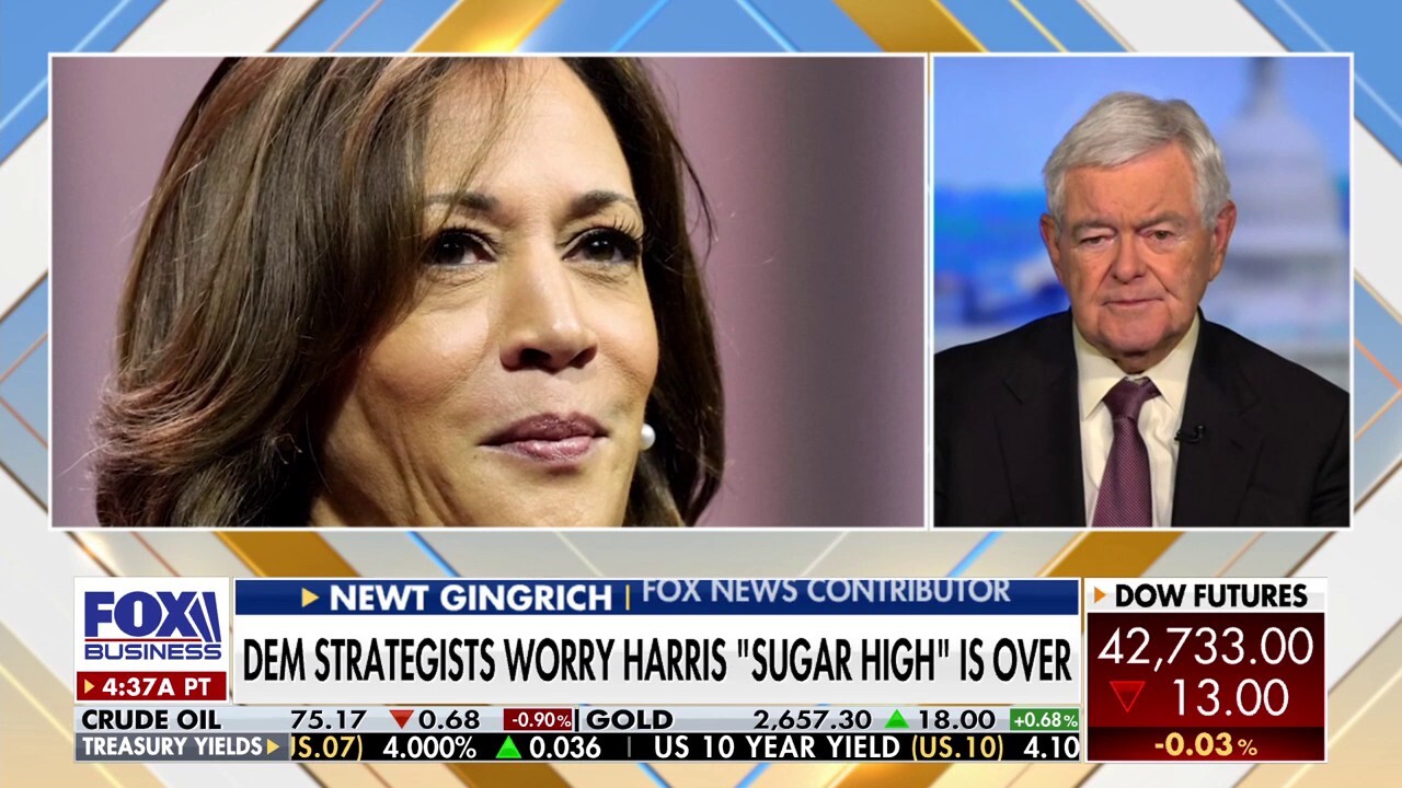 Having Obama, Clinton on the campaign trail weakens Harris: Newt Gingrich