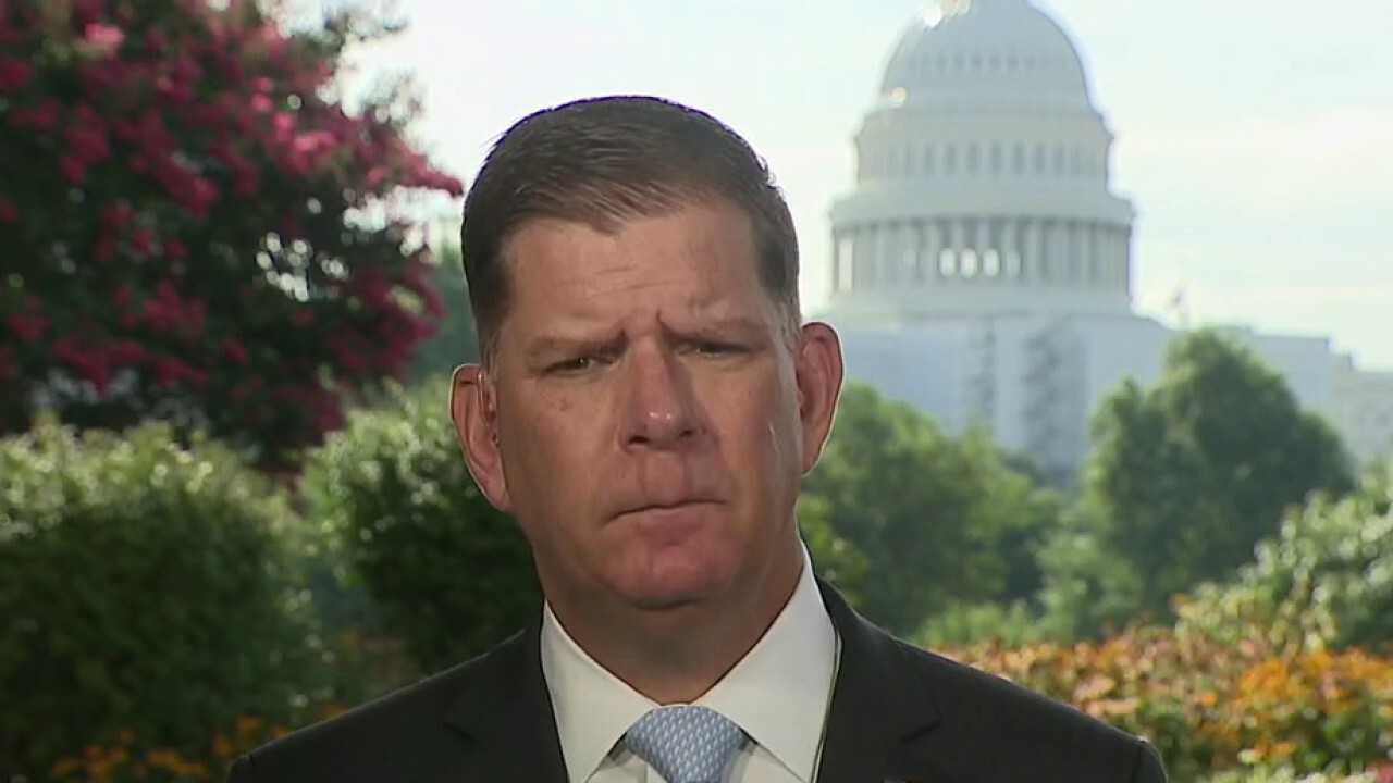 FOX Business' Edward Lawrence speaks with Labor Secretary Marty Walsh following the release of the July employment report. 