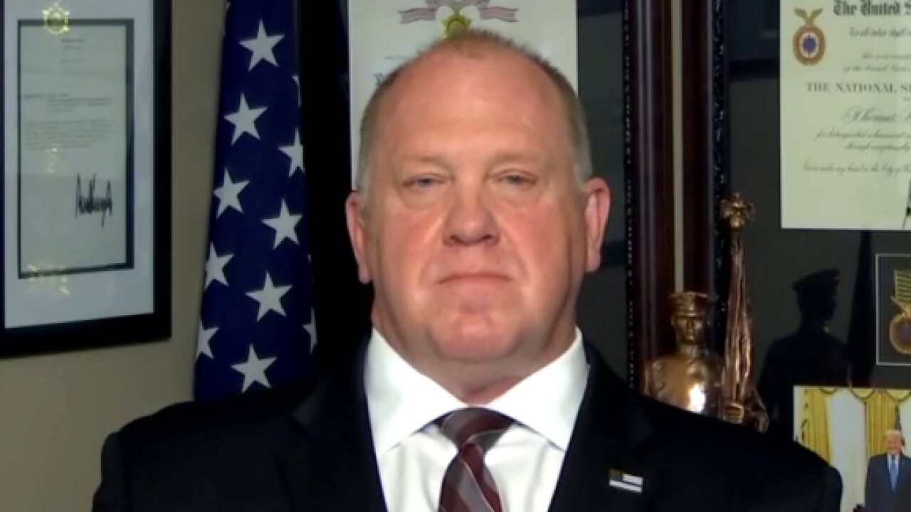 Homan: Migrants competing with Americans for jobs during unemployment crisis