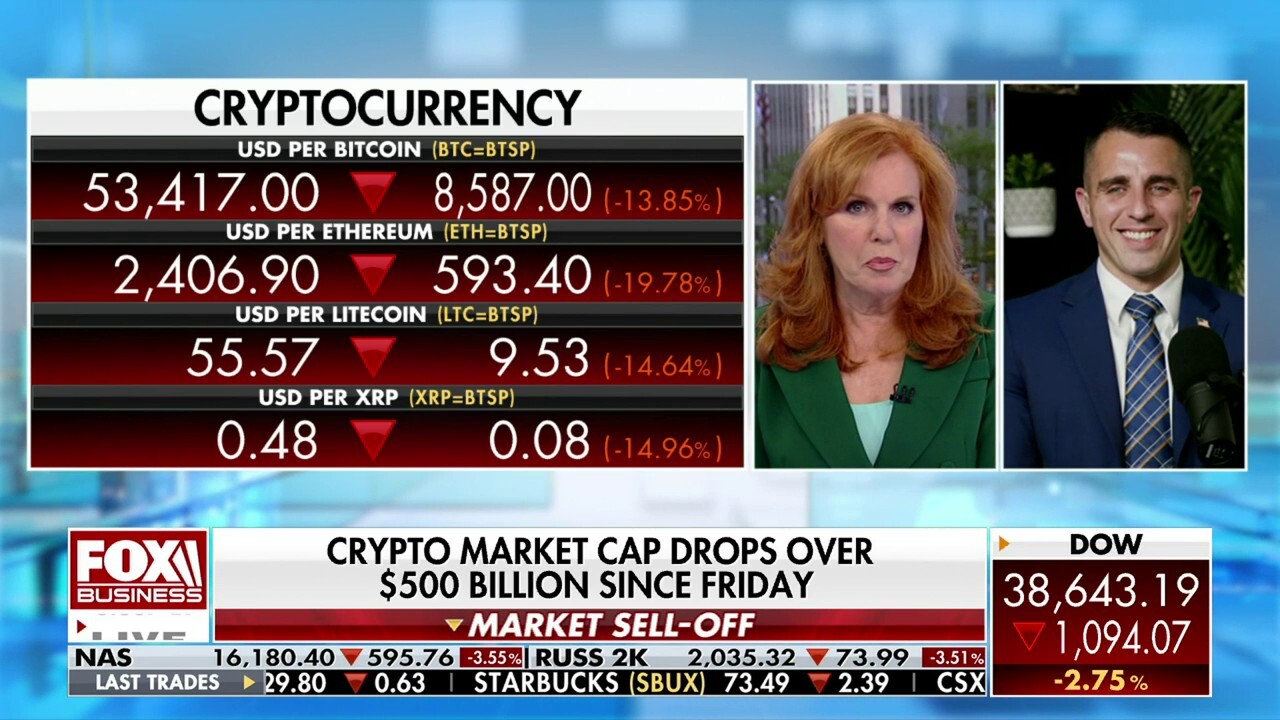 Pomp Investments investor Anthony Pompliano discusses the cryptocurrency collapse and the election year stock market on 'The Claman Countdown.'