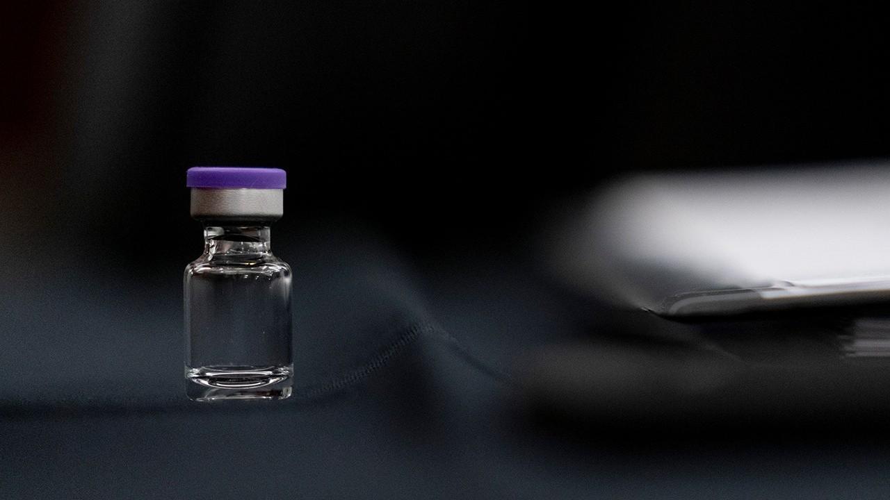 We could see vaccine ‘shots in arms’ as soon as Monday: WH deputy press secretary