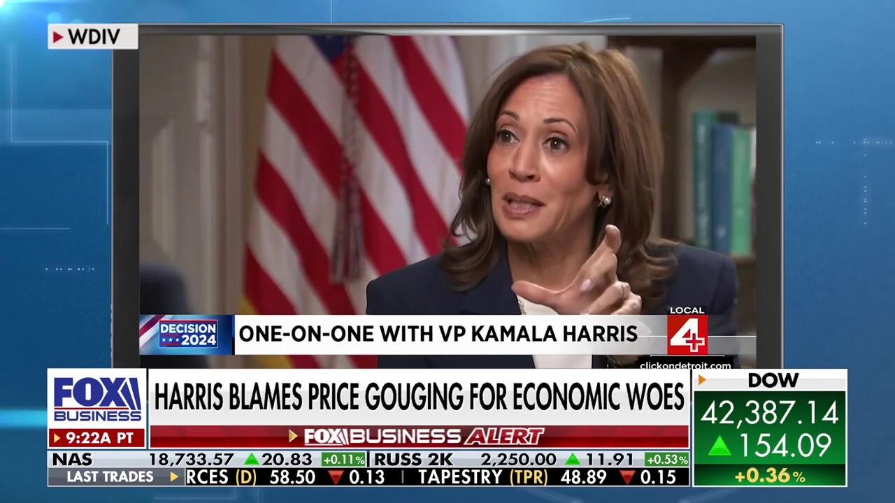 Kamala Harris' 'price controls' plan would drive grocery stores out of business: Rep. Michael Rulli