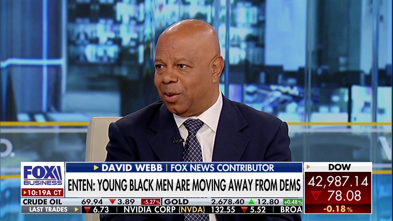 Democrats exhibit 'hard bigotry' of 'no expectation' toward Black voters: David Webb