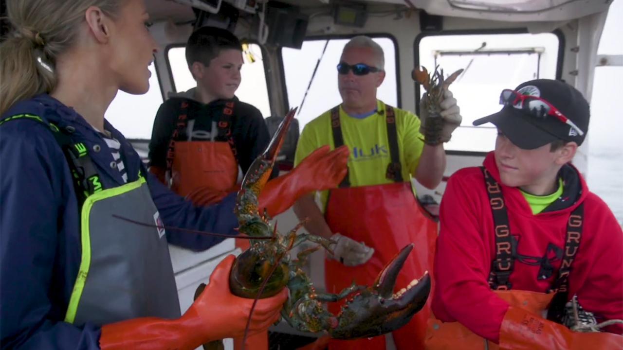 Maine lobster fishing family business tradition continues for generations