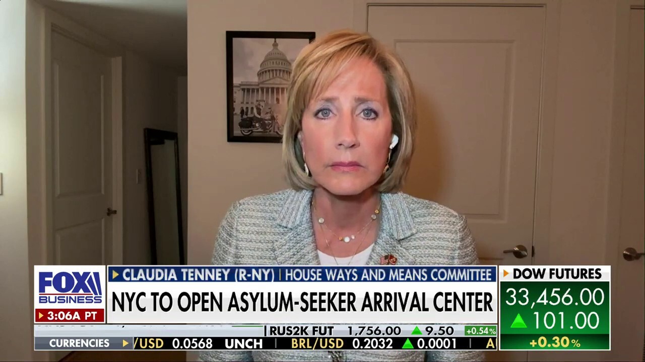 What is a country without a 'sovereign' border?: Rep. Claudia Tenney