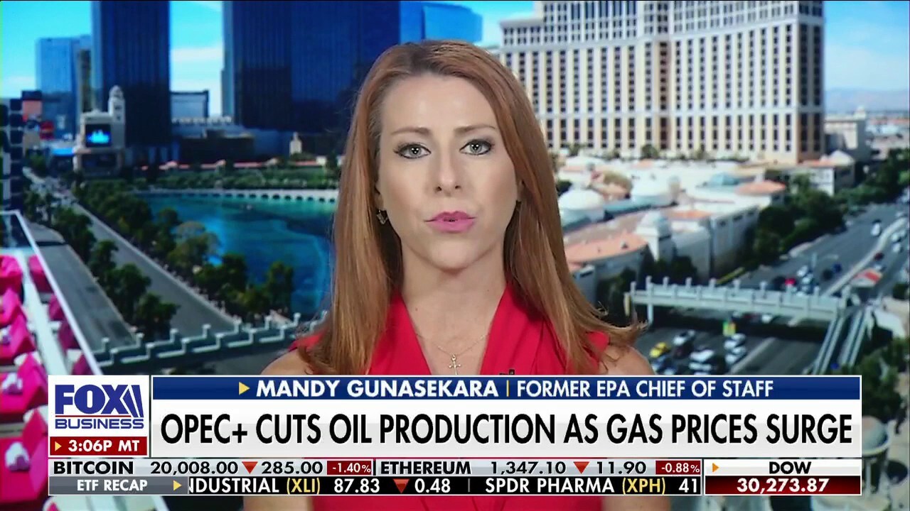 Former EPA chief of Staff Mandy Gunasekara discusses how OPEC+ is cutting oil production as gas prices surge on ‘Fox Business Tonight.’