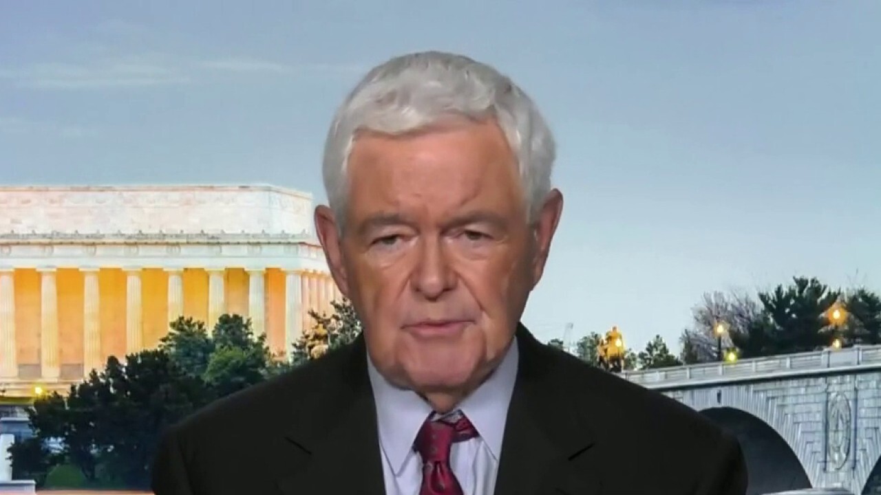Biden administration filled with people who are ‘out of touch with reality’: Newt Gingrich