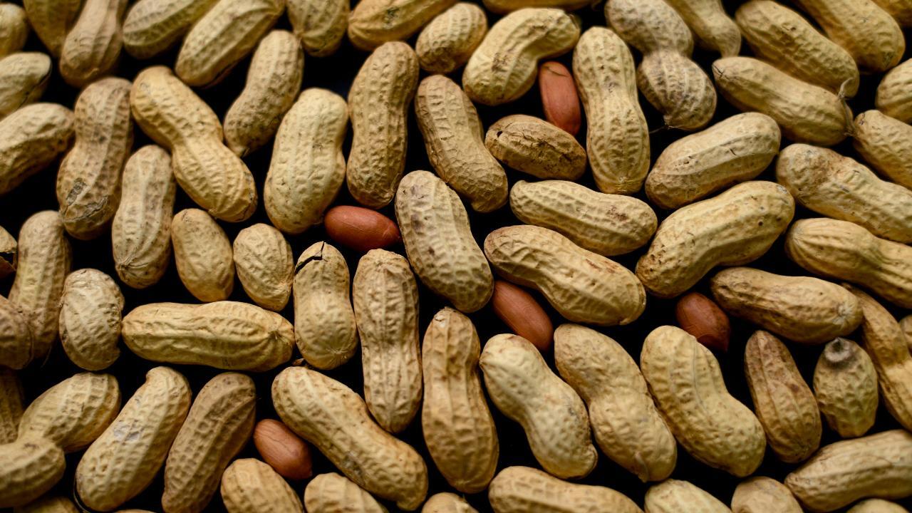 New potential treatment to prevent serious peanut allergy reactions