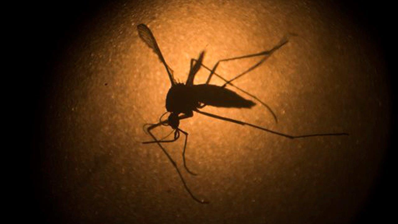 CDC issues travel warning for Miami neighborhood over Zika