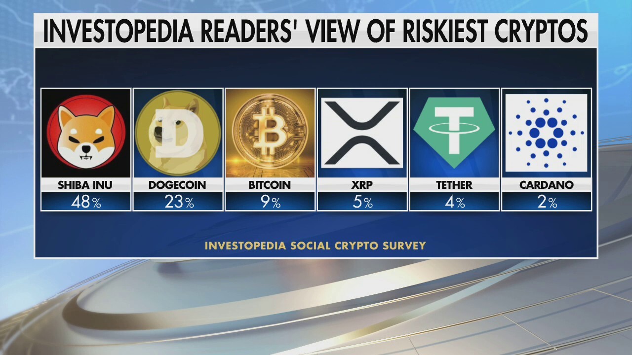 Which cryptocurrency is riskiest among investors?
