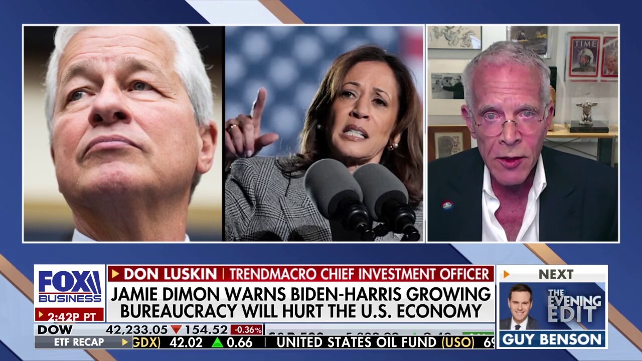 Jamie Dimon warns Biden and Harris' growing bureaucracy will hurt US economy