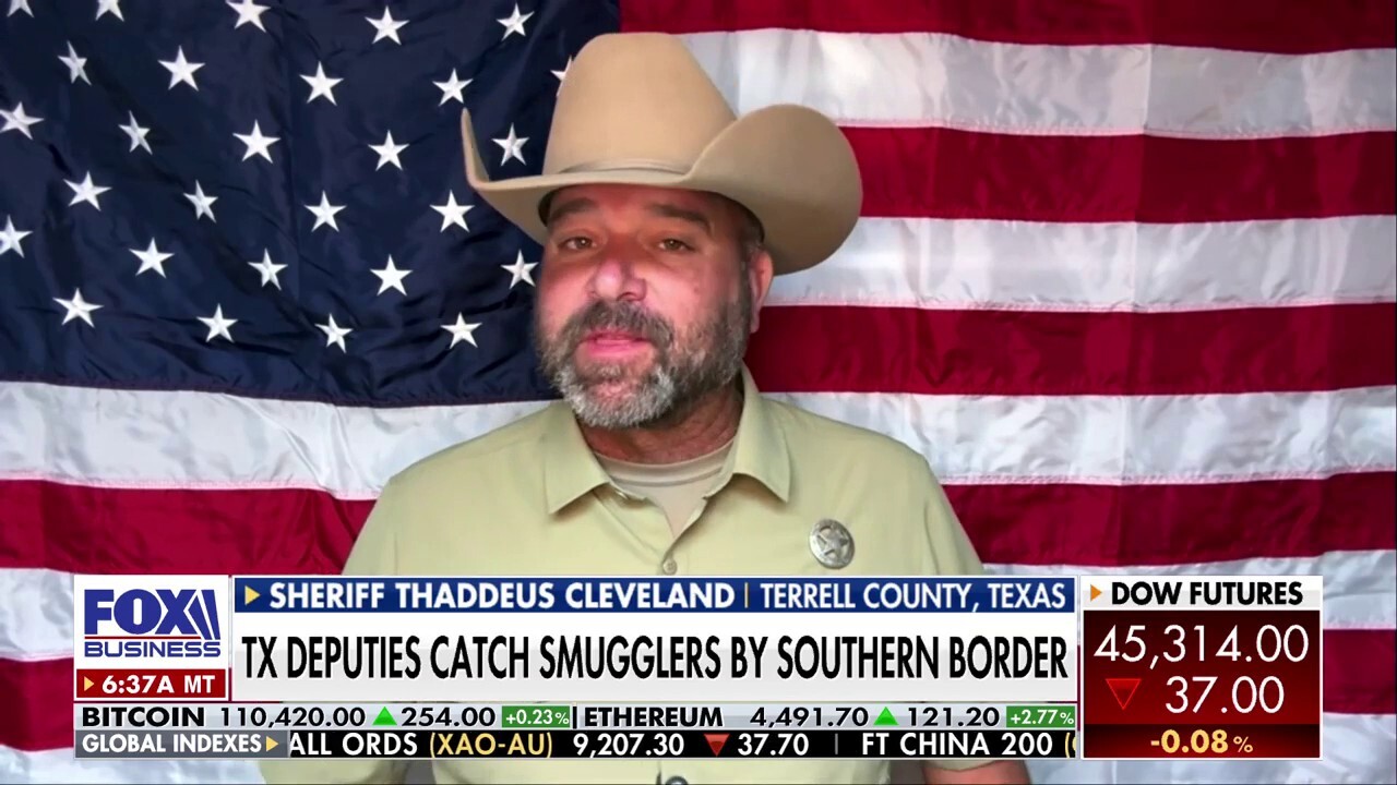 Cartels are still trying to infiltrate southern border despite Trump's security crackdown, sheriff says