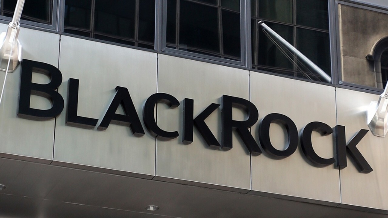 Why activist investor Bluebell Capital is targeting BlackRock over 'ESG  hypocrisy' 