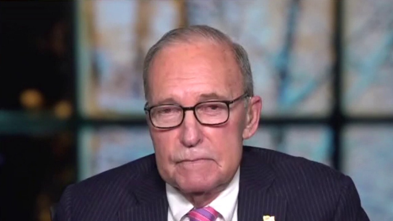 Former National Economic Council Director Larry Kudlow on whether or not the government should interfere with stock trading amid controversy surrounding the buying and selling craze around GameStop and Biden's $1.9 trillion stimulus plan.
