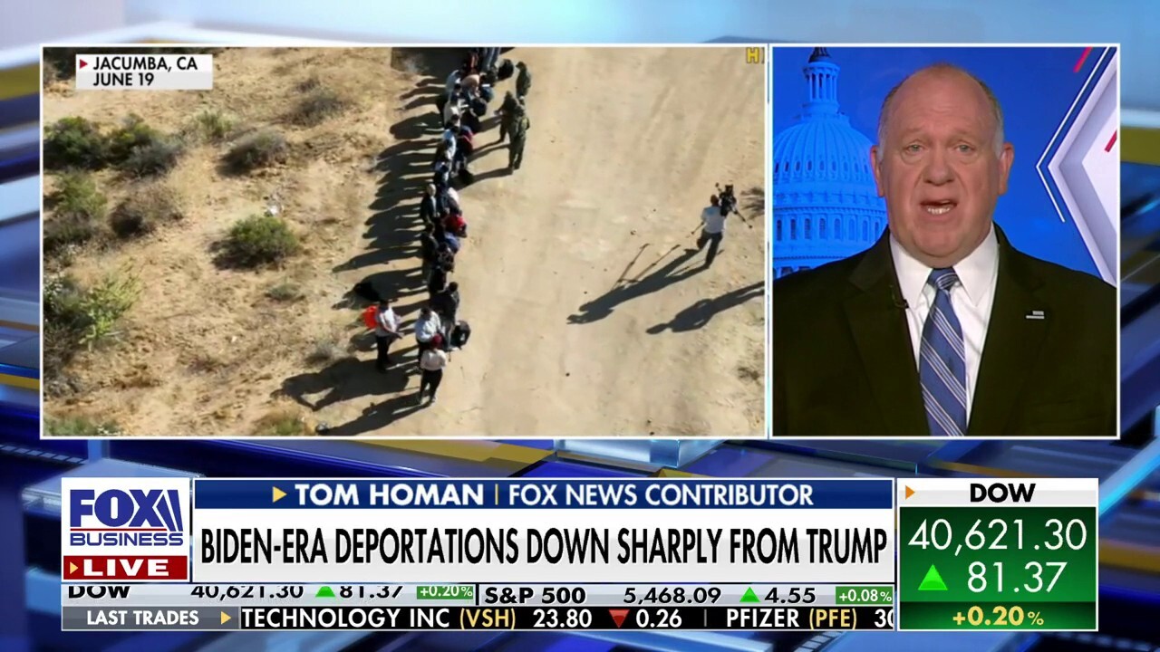 ICE can't enforce the law the way they're supposed to: Tom Homan