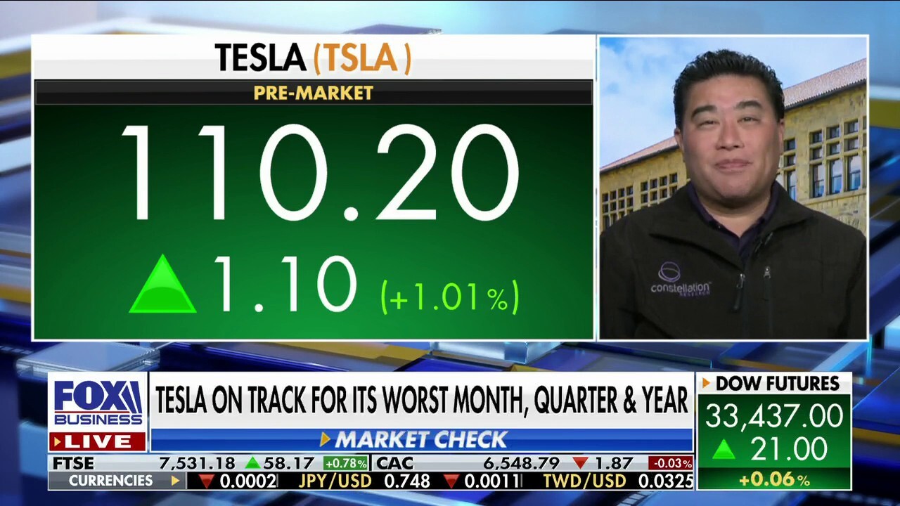 Constellation Research founder R 'Ray' Wang discusses the performance of Tesla's stocks as they head for record lows and provides an outlook for tech stocks.