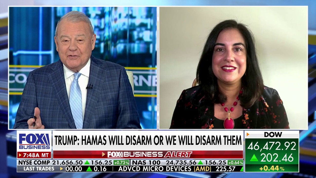 Trump right to stop NYC funding if money is 'thrown out the window’: Rep. Malliotakis