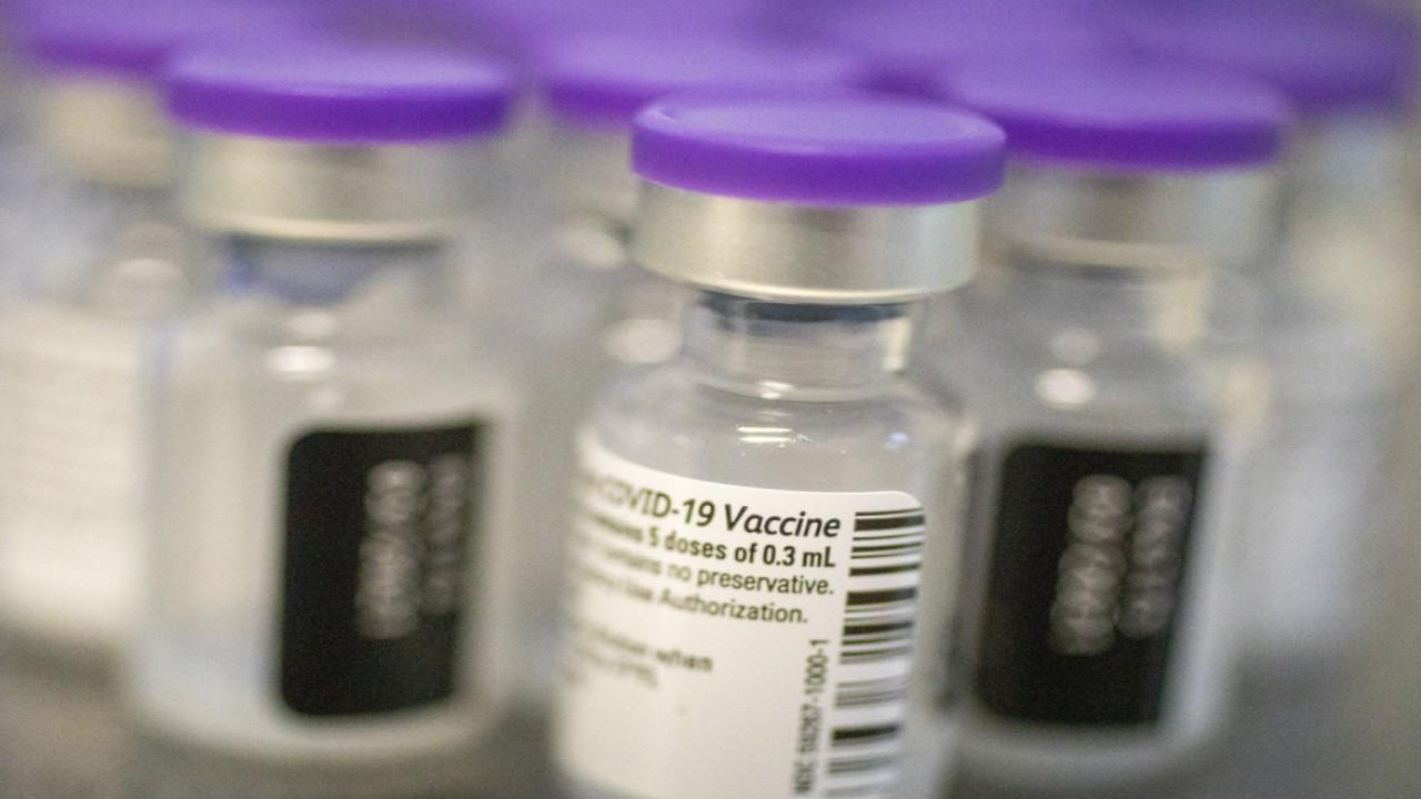 Vaccine can be updated as coronavirus mutates: Infectious disease doctor