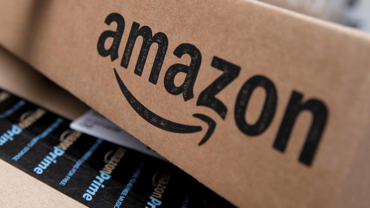 Amazon accounted for nearly 50% of all holiday online sales?