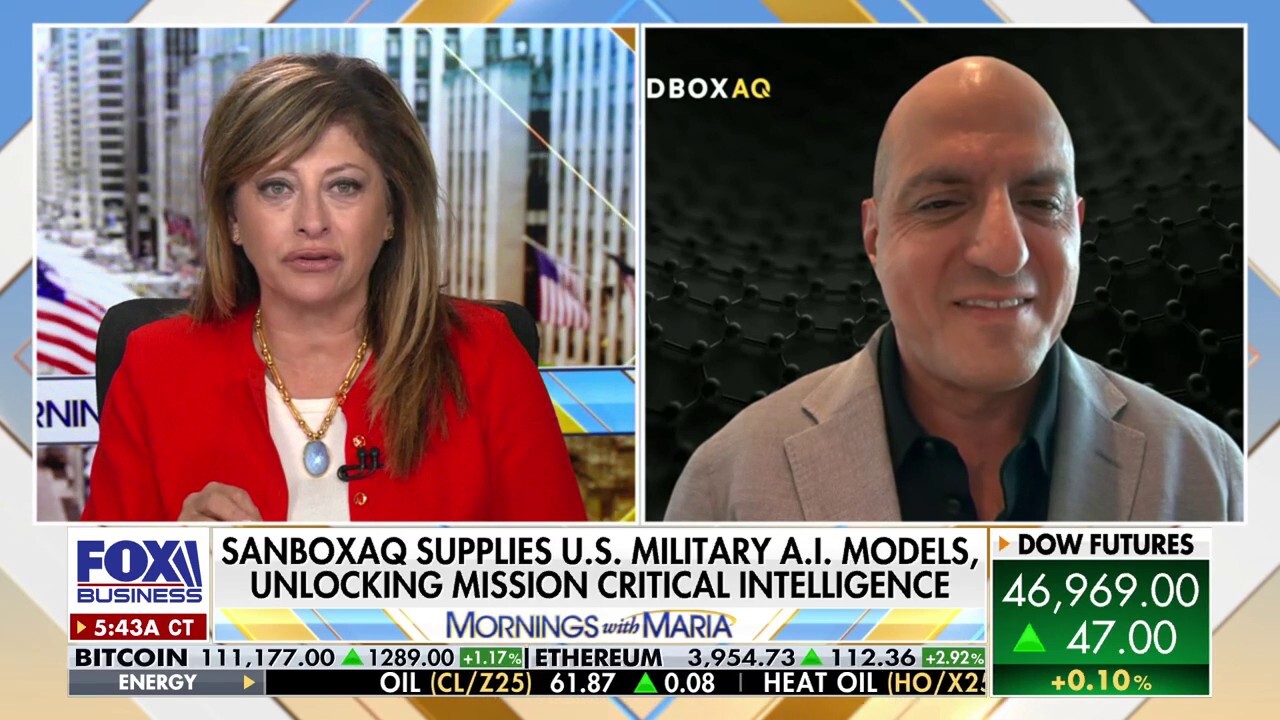 We need to protect our national infrastructure: SandboxAQ CEO