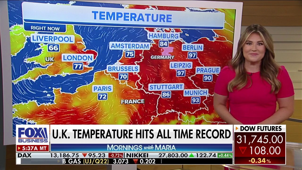 Record heat wave devastates countries across the globe 