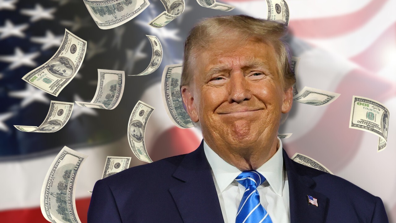 Trump is 'rapidly slowing' the rate of government spending, economist says