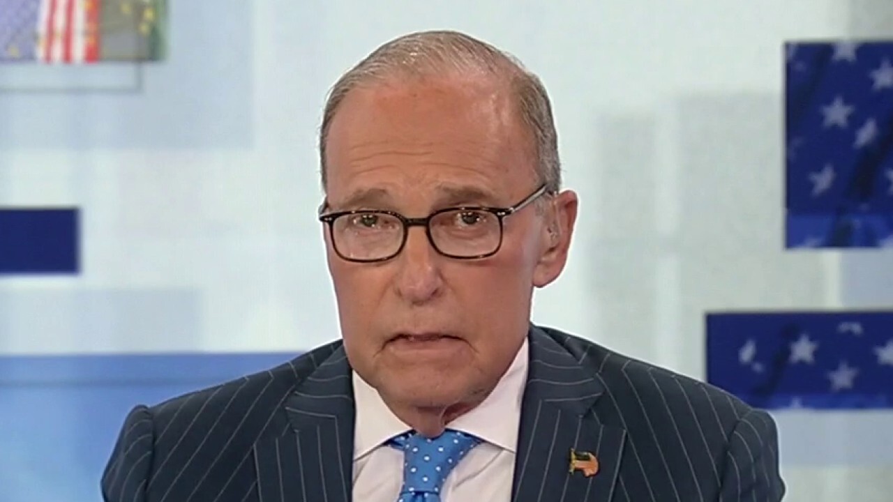 Kudlow reacts to NYT essay arguing for non-citizens to vote